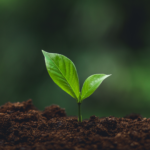 Klix³ – Modul 1: Deine CO₂-Bilanz: Emissionen wirksam reduzieren – II