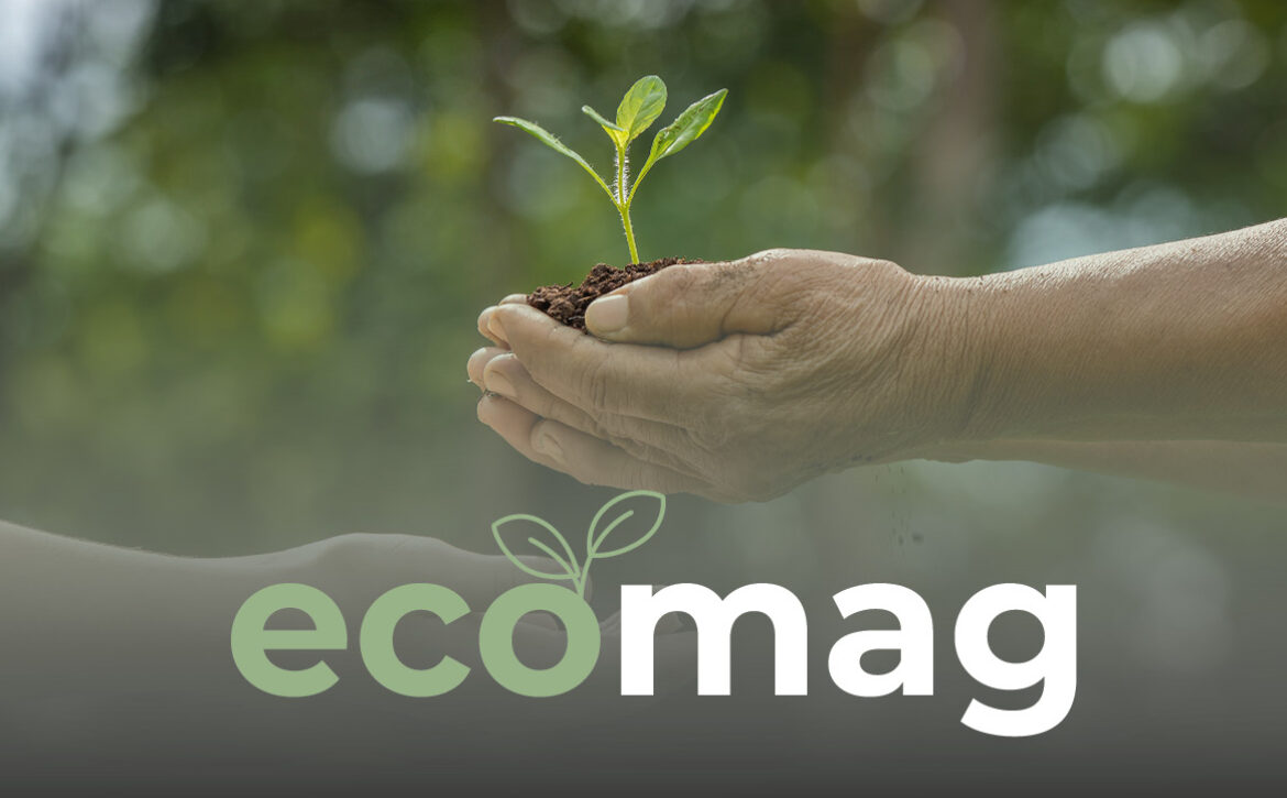 ecomag-news-header