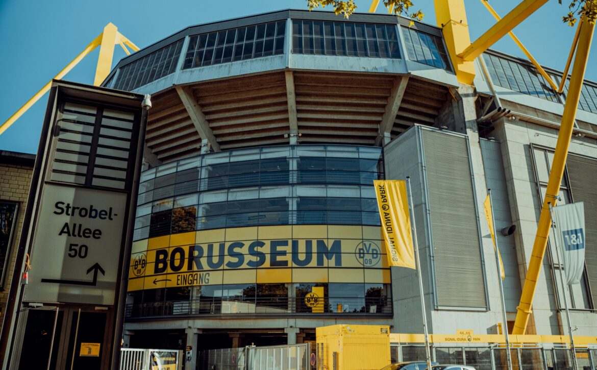 pexels-radwanmenzer-17108341